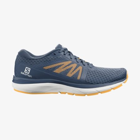 Zapatillas Running Salomon VECTUR Hombre Azul Marino (ES-POKB)